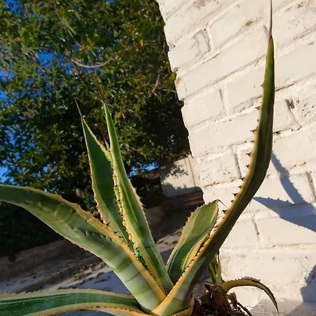 Villino Erminia - Seaside Art