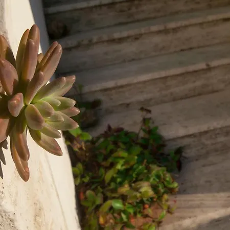 Villino Erminia - Seaside Art 4* Pizzo (Calabria)