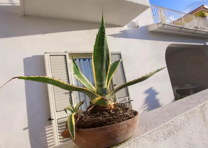 Villino Erminia - Seaside Art Alojamento de Acomodação e Pequeno-almoço Pizzo (Calabria)