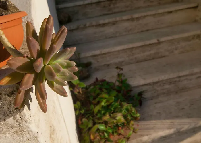 Villino Erminia - Seaside Art 4* Pizzo (Calabria)