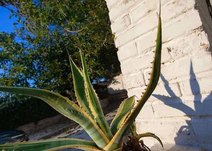 Villino Erminia - Seaside Art